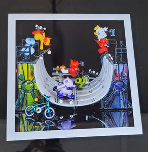 The Ducky Half-Pipe Limited Print